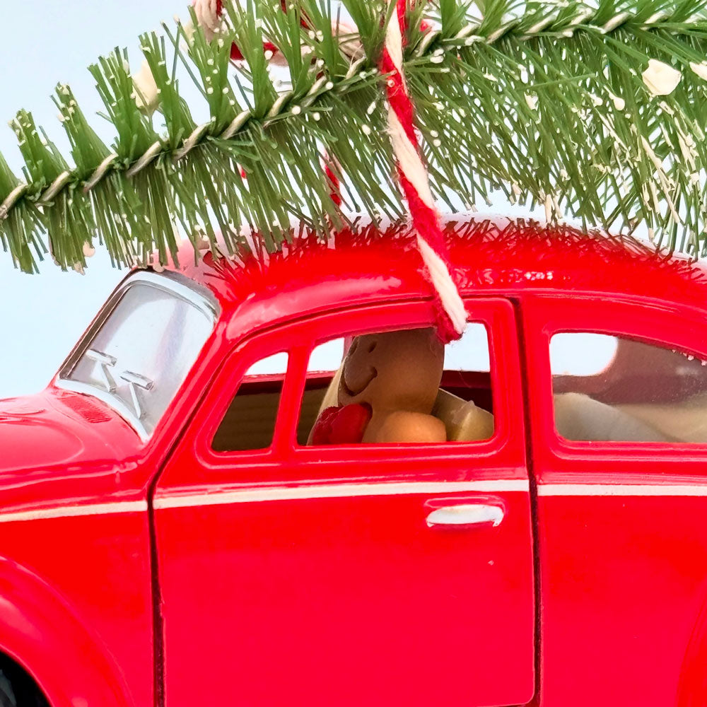 Ginger Snap Gift Wrapping Kit (interactive)