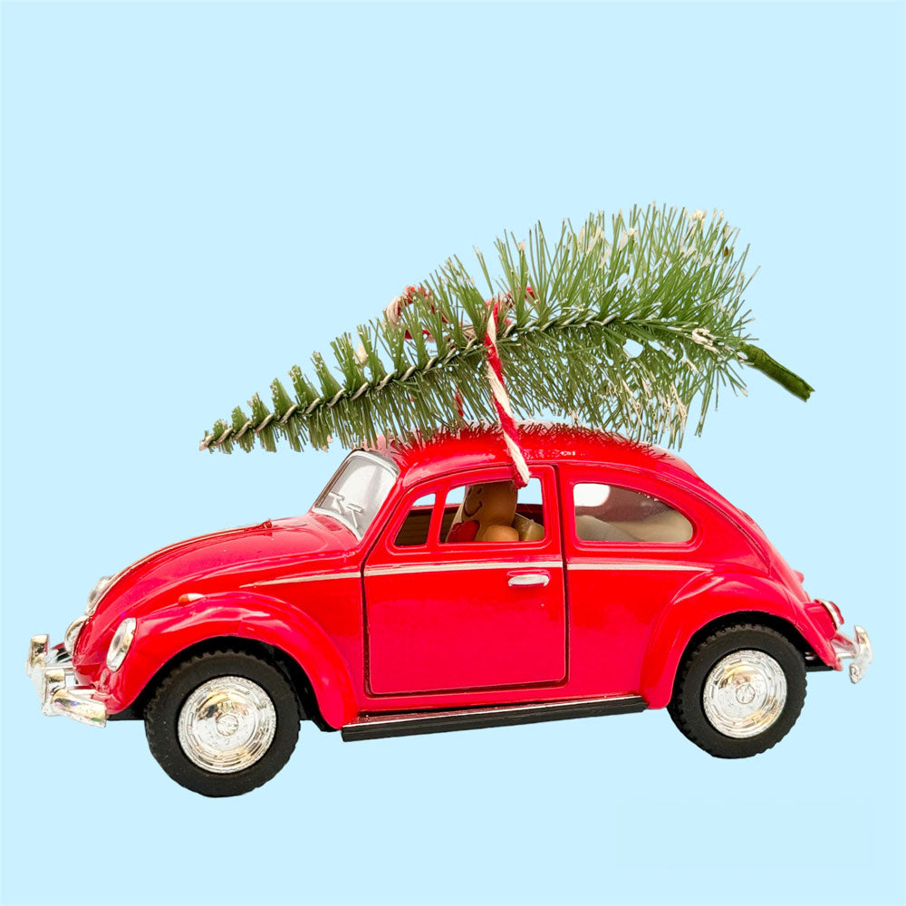 Ginger Snap Gift Wrapping Kit (interactive)